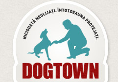 Dog Town